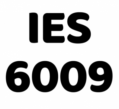 Instituto de Educación Superior N° 6009