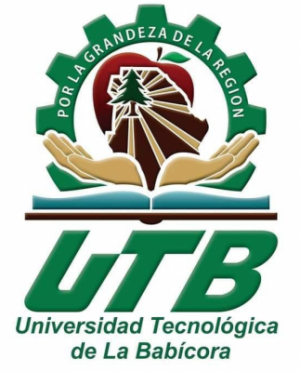 Universidad Tecnológica de la Babícora