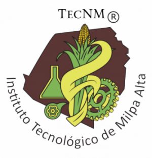 Instituto Tecnológico de Milpa Alta