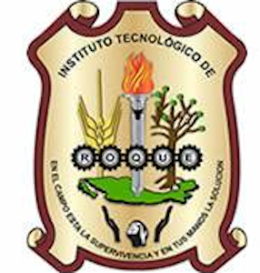 Instituto Tecnológico de Roque