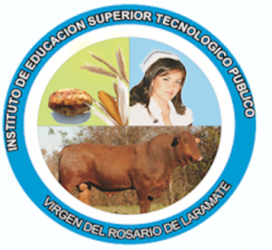 IESTP Virgen del Rosario