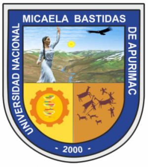 Universidad Nacional Micaela Bastidas de Apurímac